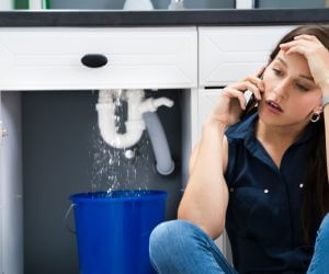 About Emergency plumbing pros Canaseraga, NY